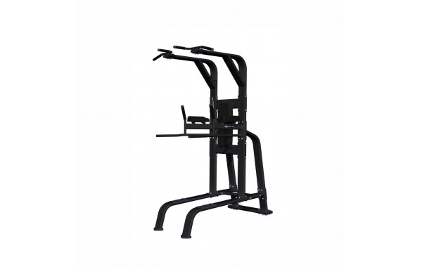 Поднятие коленей\ брусья\подтягивание UltraGym UG-CL309 600_380